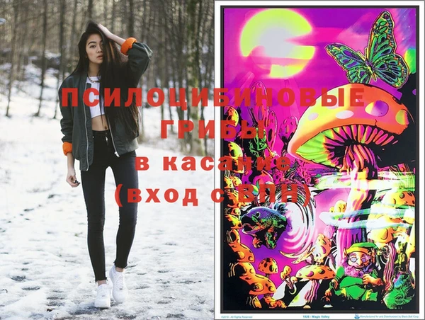 PSILOCYBIN Гусь-Хрустальный