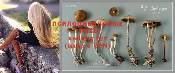 винт Белокуриха