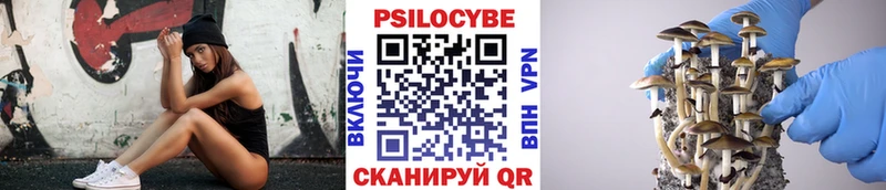 Галлюциногенные грибы Psilocybine cubensis  Онега 