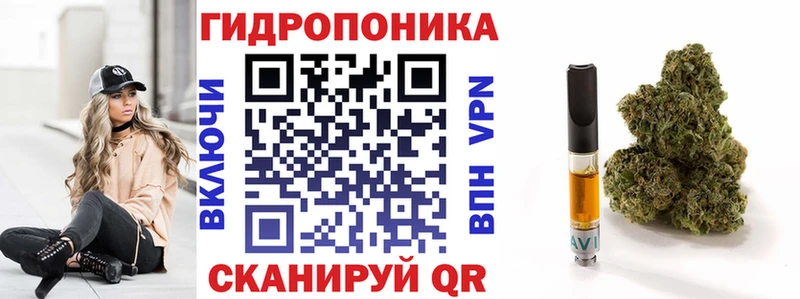 дарнет шоп  Онега  даркнет Telegram  Бошки марихуана гибрид 